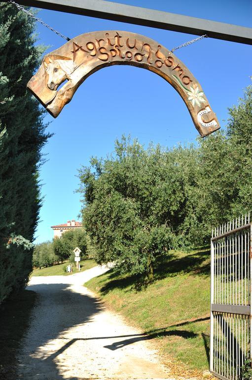 Agriturismo Spigolo Avesa Екстериор снимка