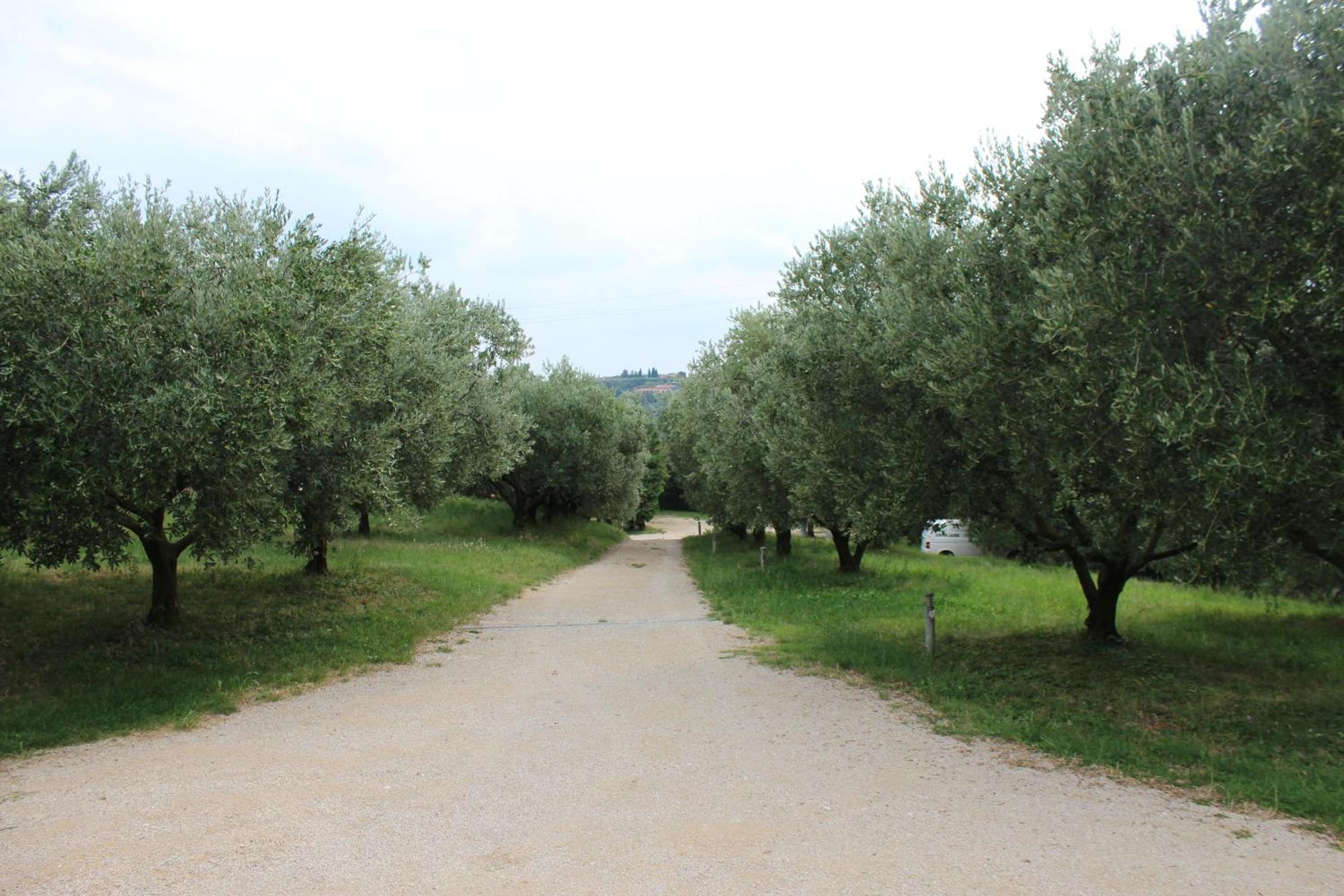 Agriturismo Spigolo Avesa Екстериор снимка