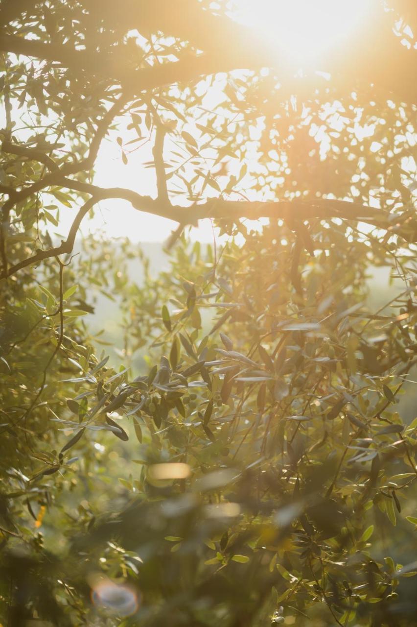 Agriturismo Spigolo Avesa Екстериор снимка